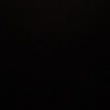 skylark_1209